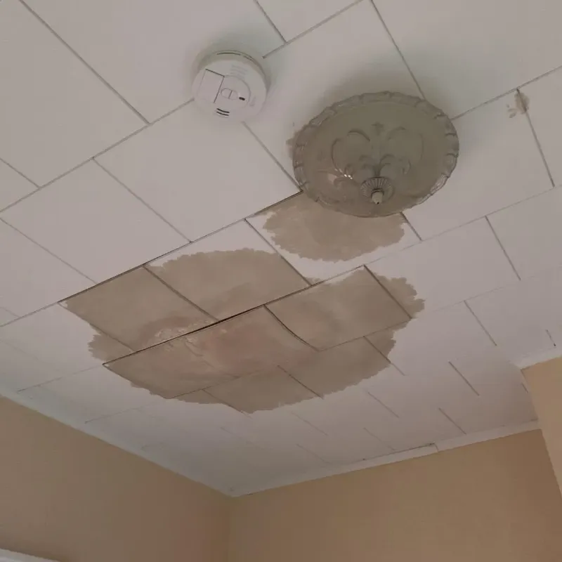 Ceiling Water Damage Repair in Perkins, OK