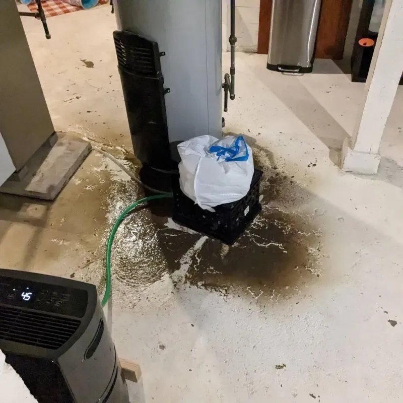 Sewage Backup Cleanup Service in Perkins, OK